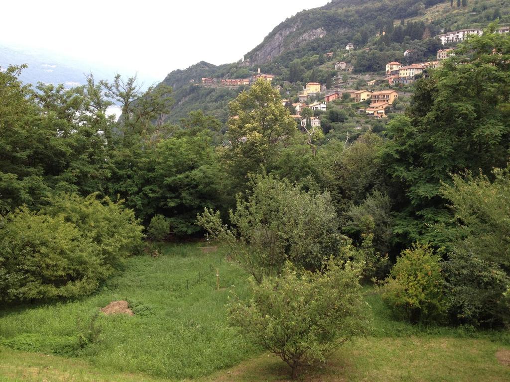 Villa Caterina Perledo Oda fotoğraf